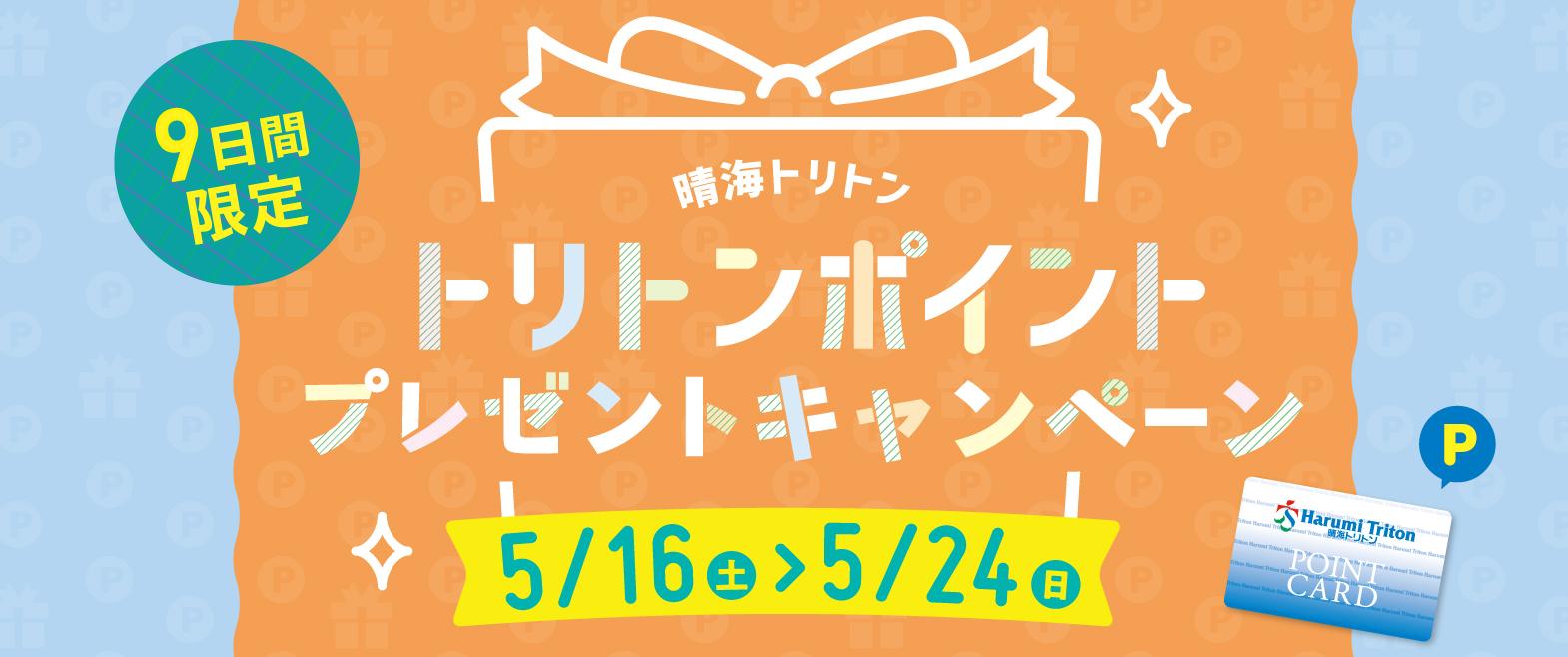 トリトンポイントプレゼントキャンペーン image
